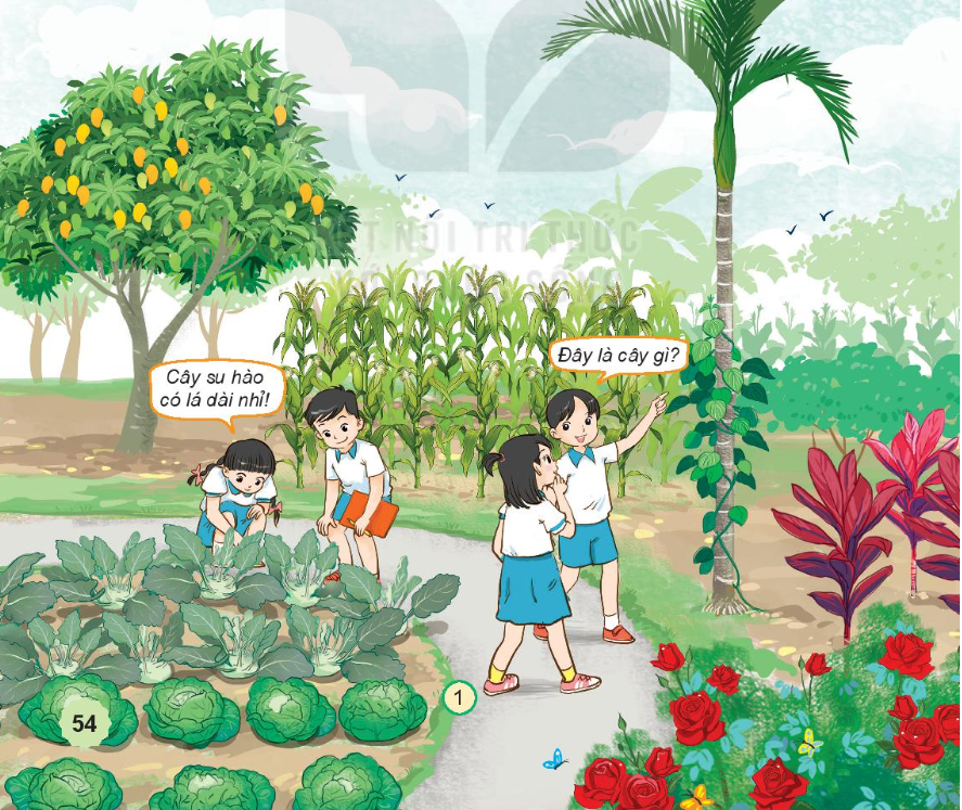 2023030415234511 2 1