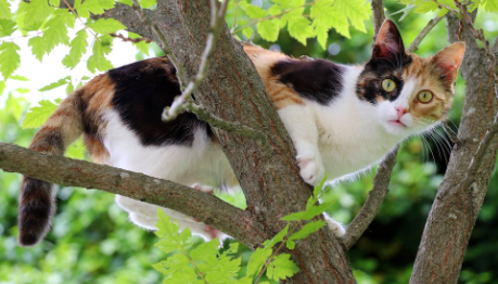 202303220936211 climbing