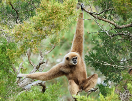 202303220936217 swinging