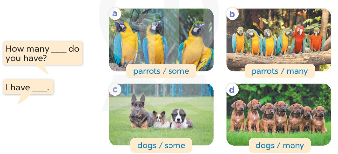 20230322093724l2 u16 2