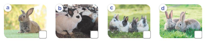 20230322093724l2 u16 4