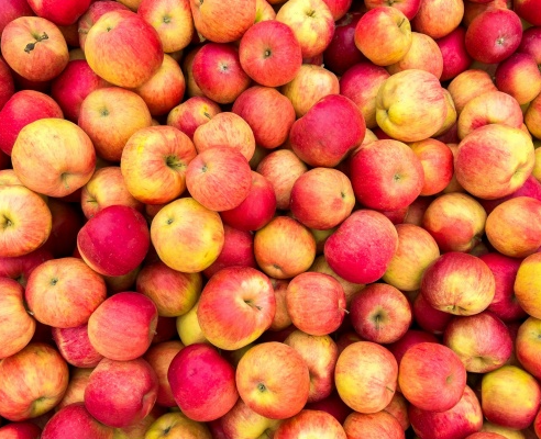 202303220937337 many 1