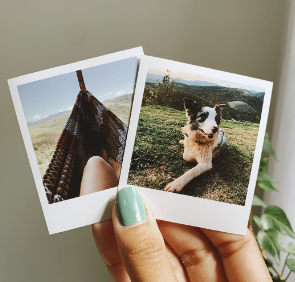 20230323021127picture