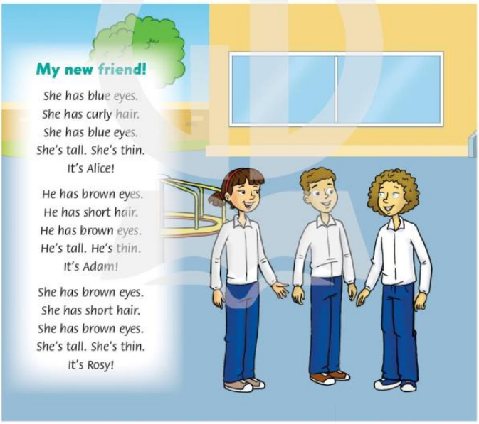 20230323021357screenshot 2022 05 05 214447