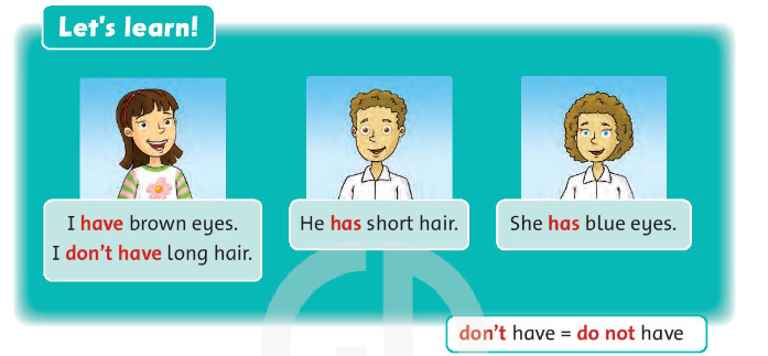 Tiếng Anh lớp 3 Unit 6 Lesson Two trang 45 Family and Friends: Listen and say. (Nghe và nói). *Let’s learn! (Hãy học nào!) - I have brown eyes 5 2023032302135922
