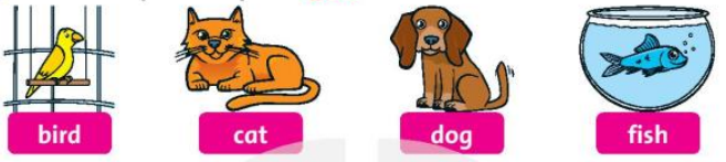 20230323021443screenshot 2022 04 28 165002 1