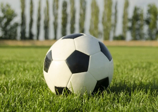 202303230216142 ball