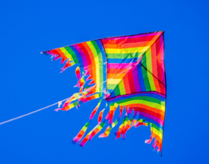 202303230216143 kite