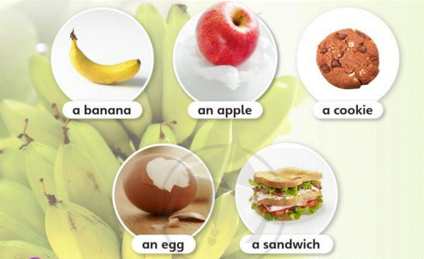 Tiếng Anh lớp 3 Vocabulary 1A Unit 8 trang 130 Explore Our World: B90. 2. Listen and point. Say. B91 (Nghe và chỉ. Nói). a banana: môt quả chuối an apple 8