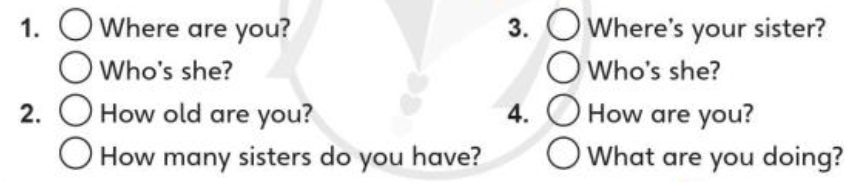 20230323031132stop and check 2b