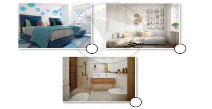 20230323031212screenshot 213