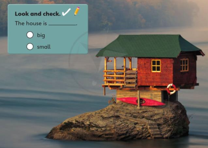 20230323031227u4 opener