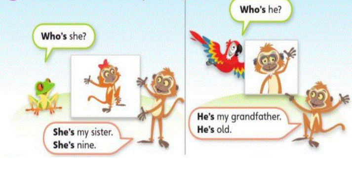 20230323031243screenshot 174