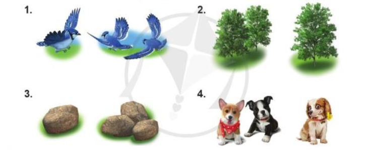 20230323031349u2-lang-1b-2 20230323031349u2 lang 1b 2