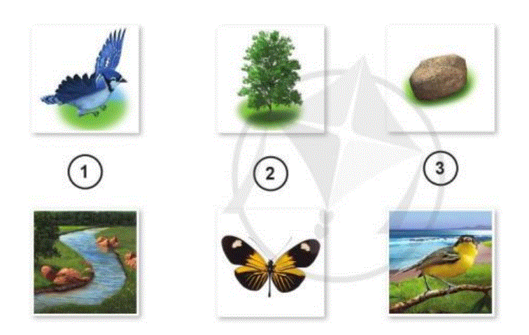 20230323031353screenshot-75 20230323031353screenshot 75