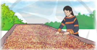 2024042609440220 38 1