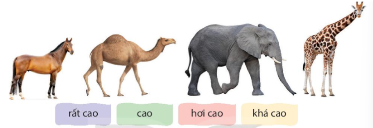 Tìm từ ngữ thích hợp để tả độ cao tăng dần của mỗi con vật trong tranh: Em hãy suy nghĩ những tính từ cho sẵn và chọn tính 8 2024050207585823