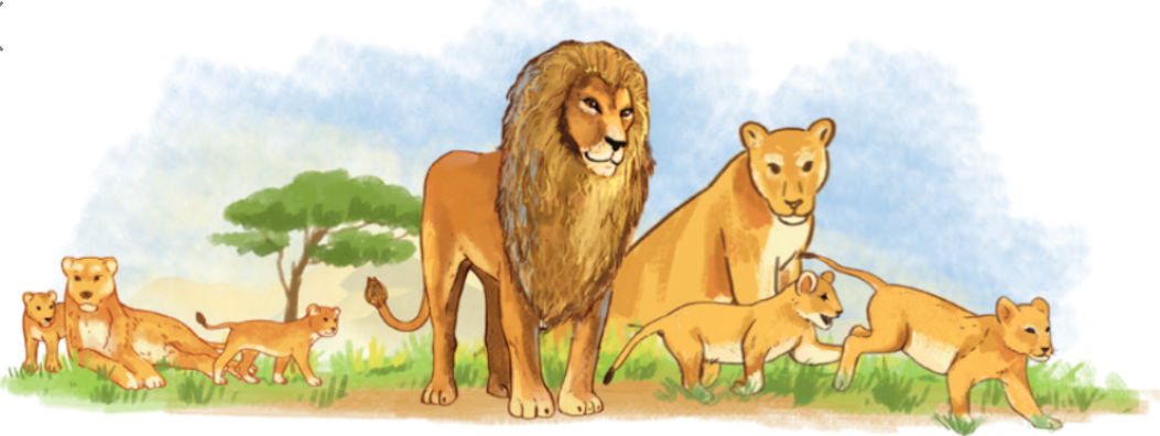 2024050208031545-1 2024050208031545 1