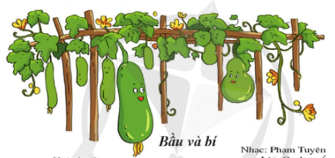 Chia sẻ: Em hãy nghe ( hoặc đọc lời) bài hát sau đây và cho biết: Câu 1: Hình ảnh quả bầu, quả bí trong bài hát 5 2024050211153111 4