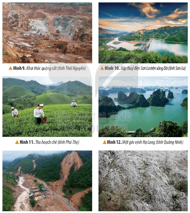 2024050304121412 4 1