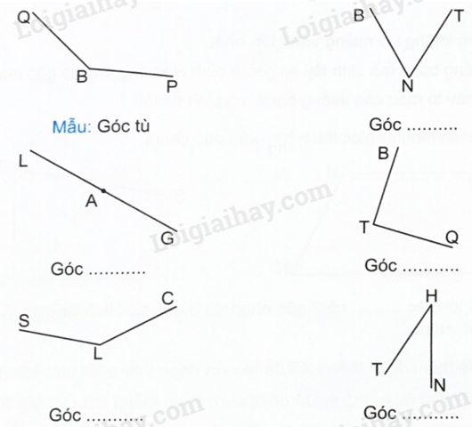 2024050709484420 10 1