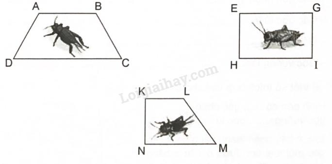 2024050709485020 1 1