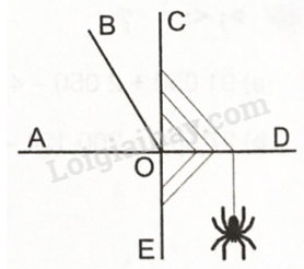 2024050709520420 4 1