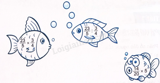 2024050709552620 13 1