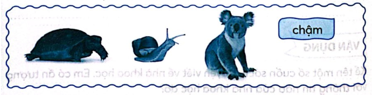 2024050713201022 1 1