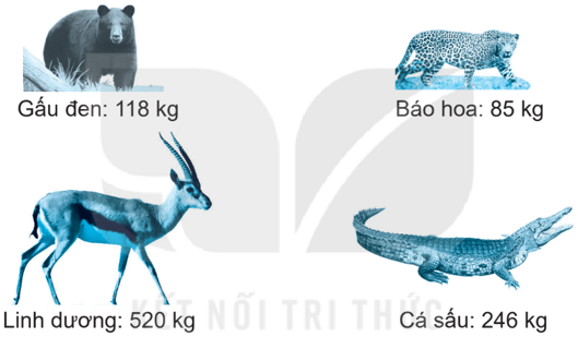 20240516092726cau-1_19-1 20240516092726cau 1 19 1