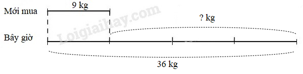 20240516092914cau-2 20240516092914cau 2