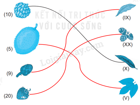 20240516092941tr loi cau 2