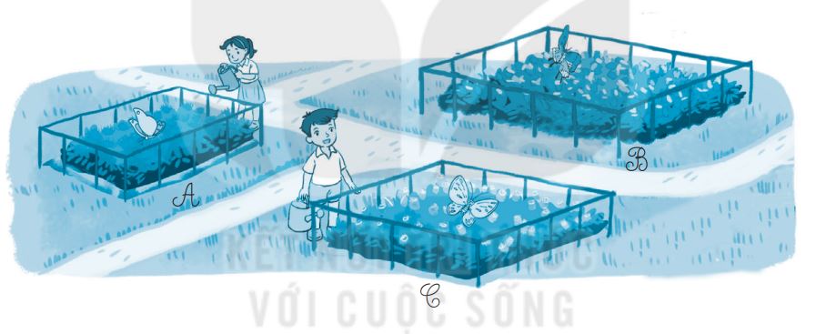 20240516093004bai 4 tr33