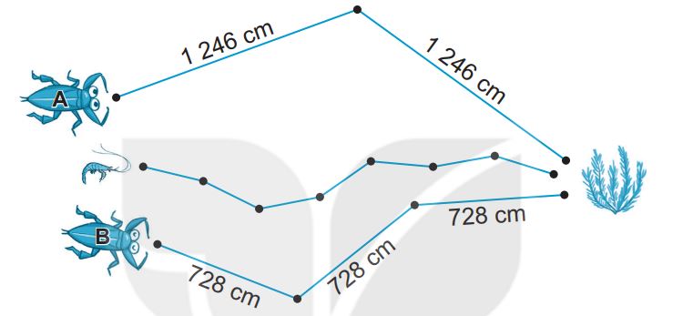 20240516093025bai 4 tr50