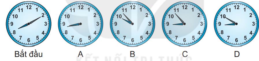 20240516093059bai 3b tr81