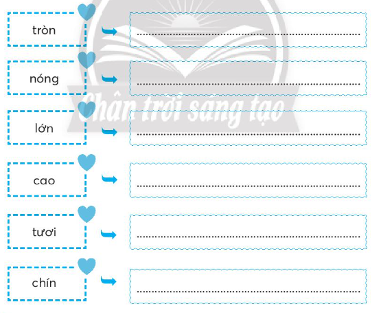 2024051611184433_1 2024051611184433 1