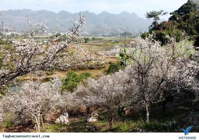 2024051611192532 2024051611192532