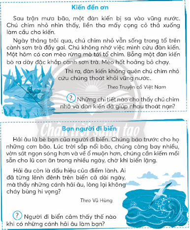 Bài: Đánh giá cuối học kì 2 VBT Tiếng Việt lớp 3 - Chân trời sáng tạo tập 2: Hai anh em bạn nhỏ định chơi trò chơi gì? 5 2024051611193131 3