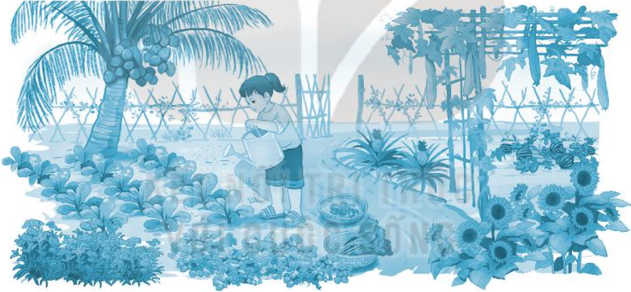 20240516112709231-1 20240516112709231 1