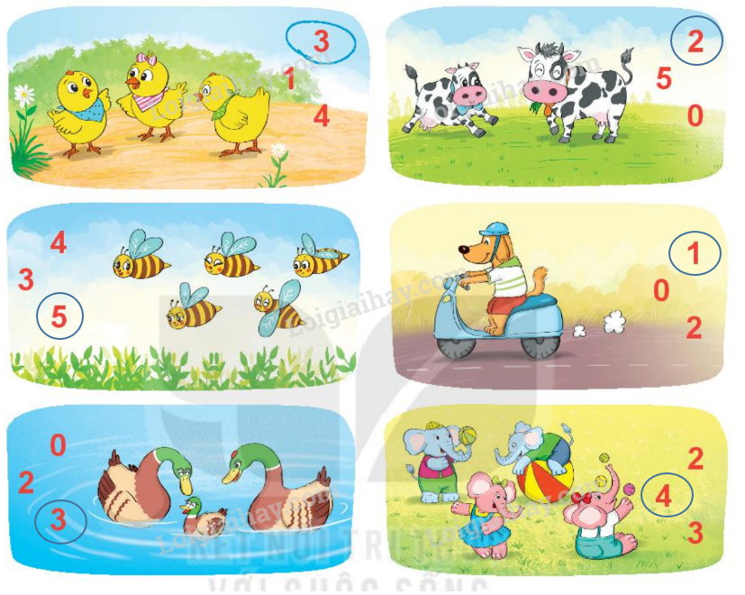 20240517072303tr loi bai 1 tr12 2