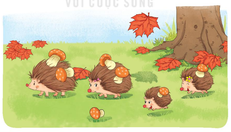 20240517072317bai 2 tr22 1