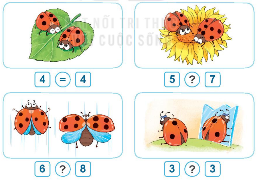 20240517072320bai-4-tr29-1 20240517072320bai 4 tr29 1