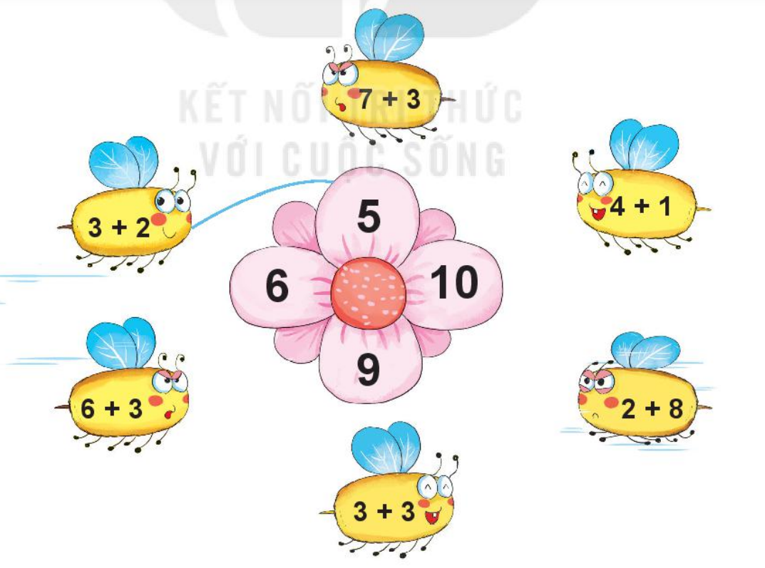 20240517072414bai-3-tr81-1