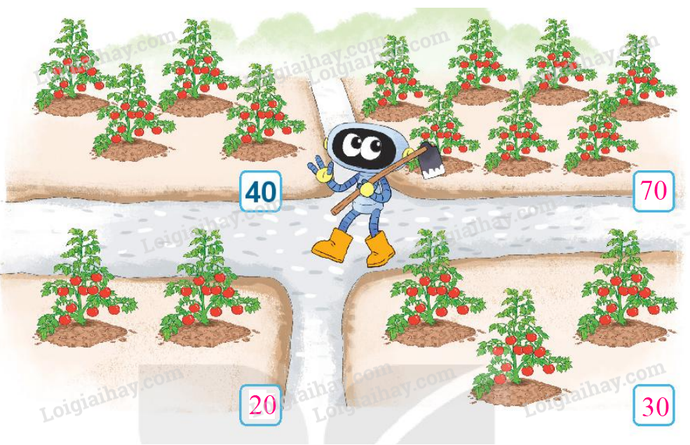 20240517072447tr loi bai 3 tr9 1