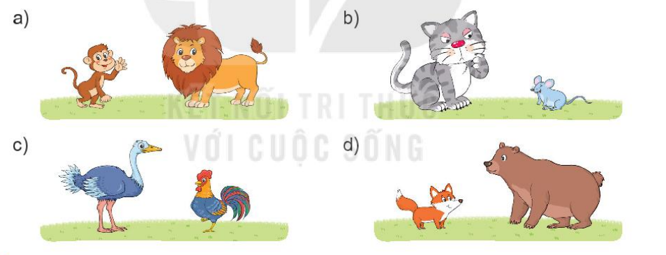 20240517072513bai 1 tr30 1