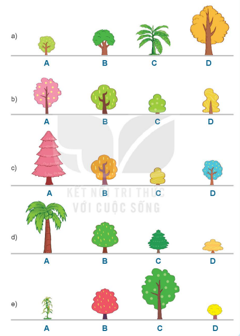 20240517072513bai 3 tr31 1