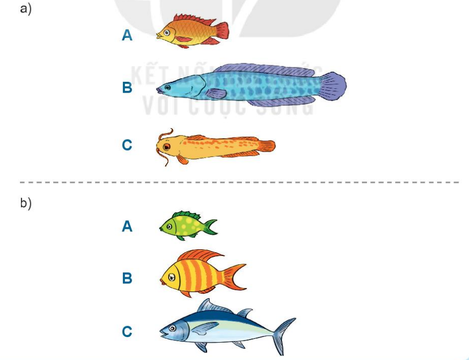 20240517072513bai 4 tr29 1