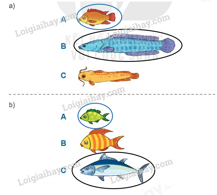 20240517072513tr loi bai 4 tr29 1