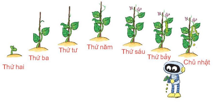 20240517072553bai 1 tr77 3