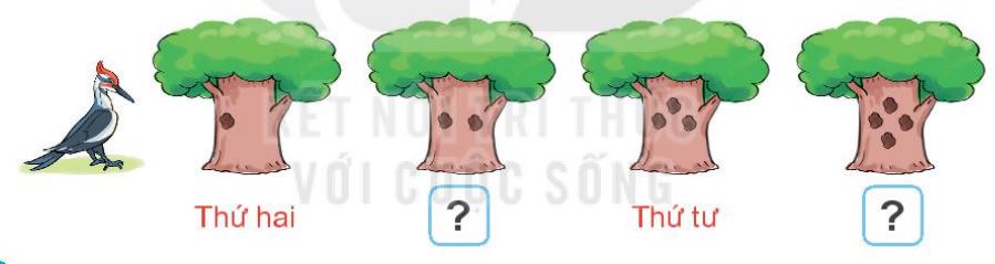 20240517072553bai 2 tr77 1